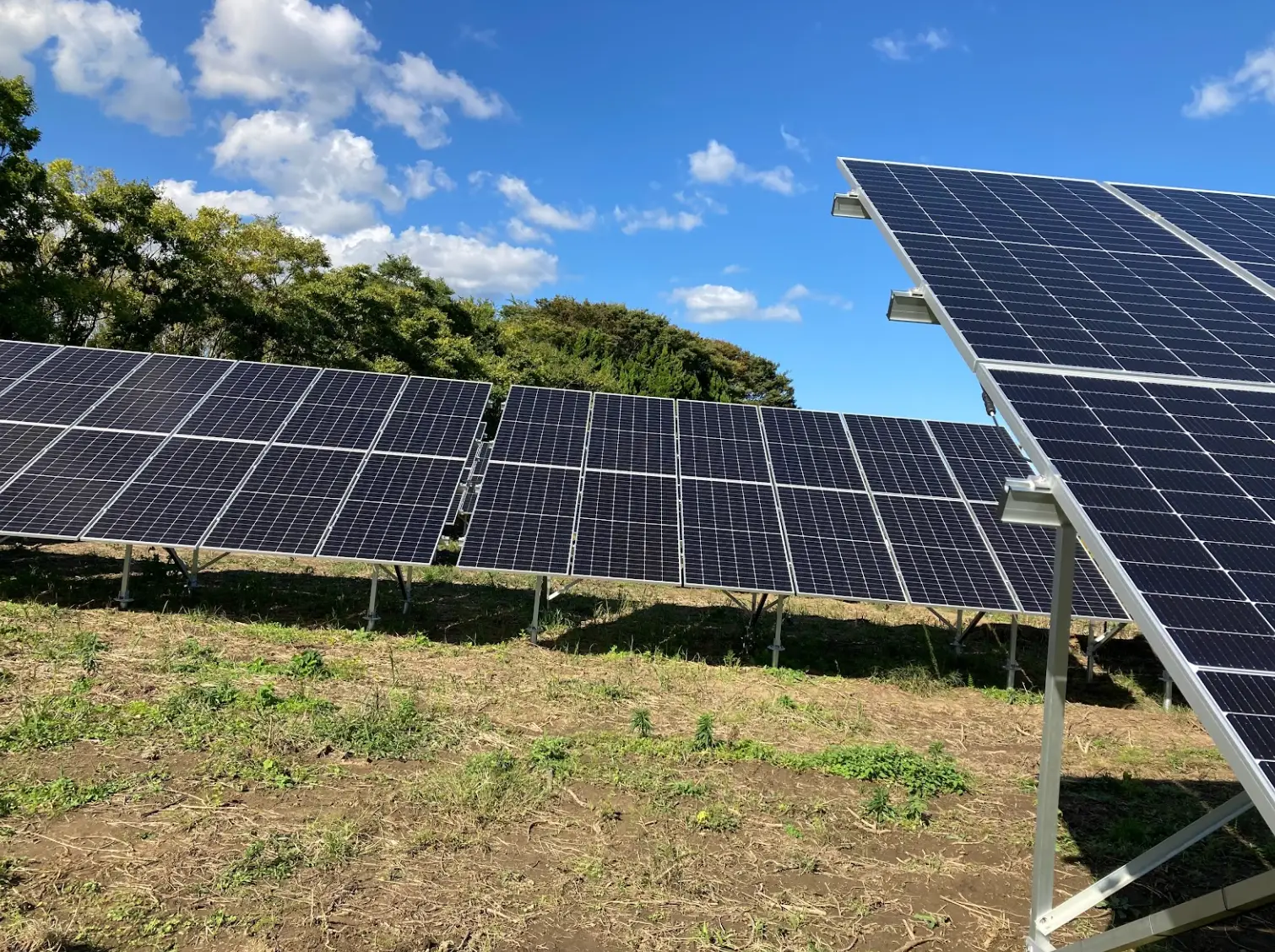 ヱビス茨城霞ヶ浦発電所